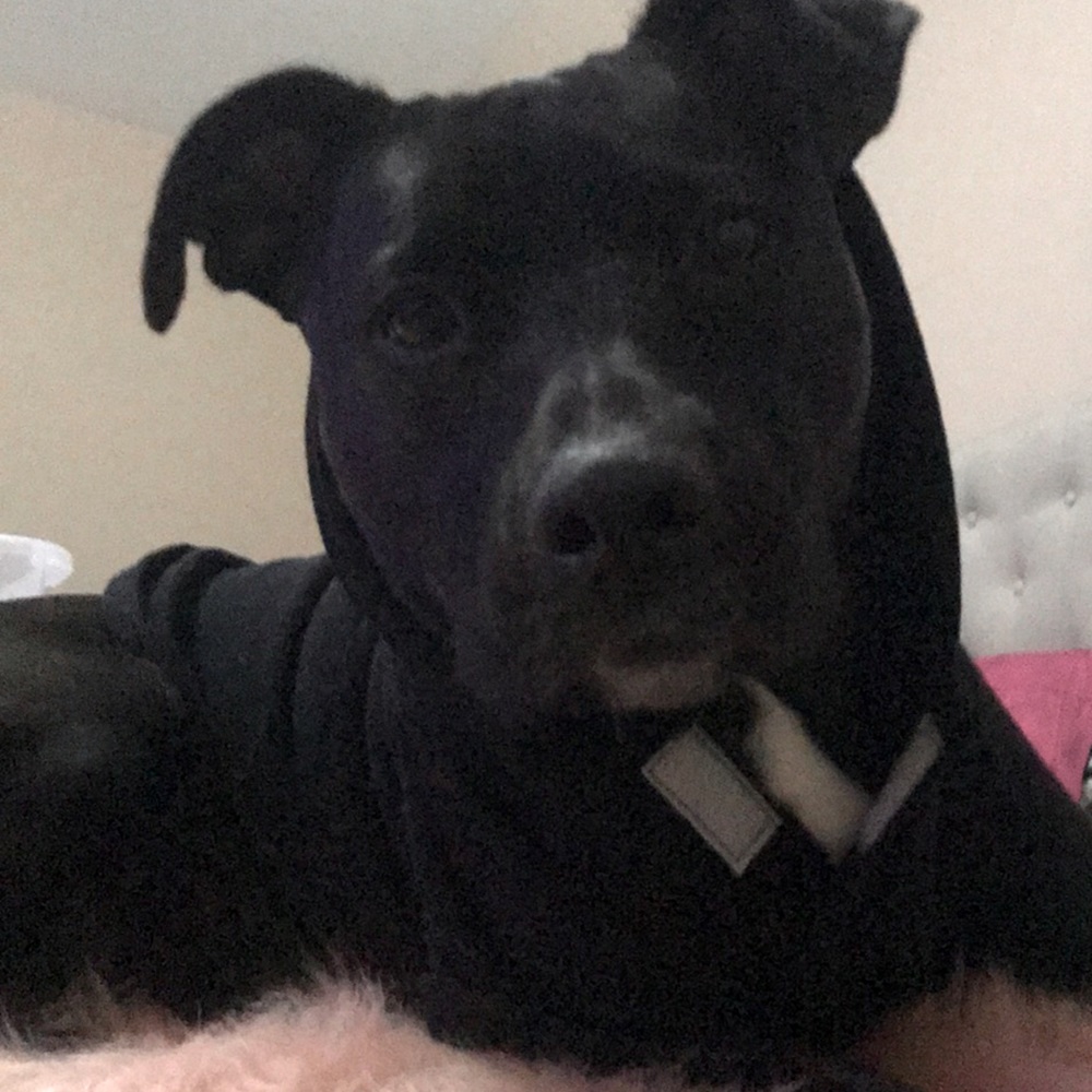 ✨2/$15✨✨Thug Life” Dog Hoodie Sweater